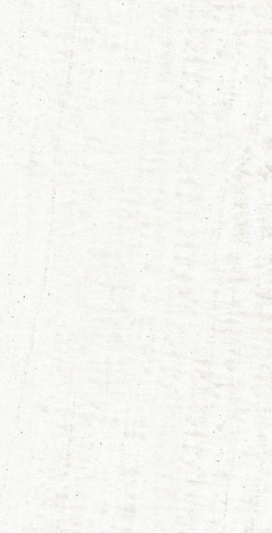 OL Onyx White Polished 12 x 24